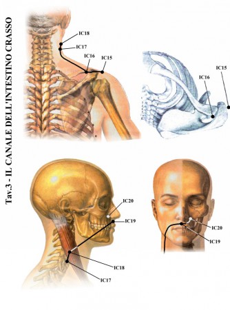 (immagini tratte da www.kyusho.it)